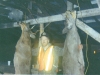 a-good-hunting-year-1993